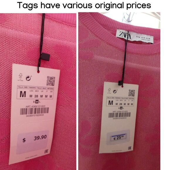 NWT Zara Pink Long Sleeve Sheer Floral Top - Picture 8 of 12